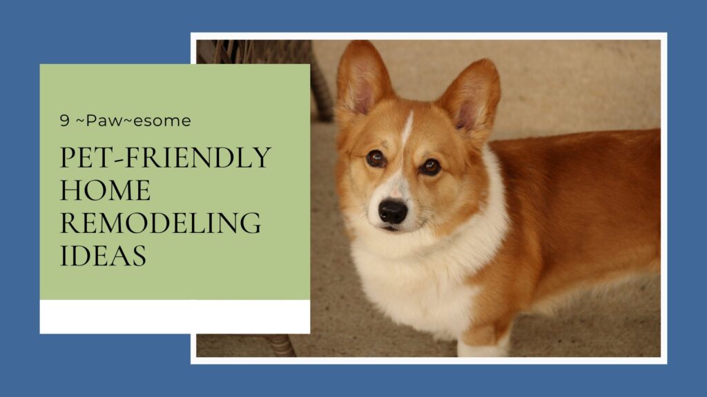 April 2024 - 9 ~Paw~esome Pet Friendly Home Remodeling Ideas!