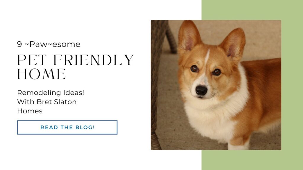 April 2024 - 9 ~Paw~esome Pet Friendly Home Remodeling Ideas!